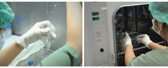 泰國試管嬰兒為什么男孩多？可以選擇生男或生女嗎？